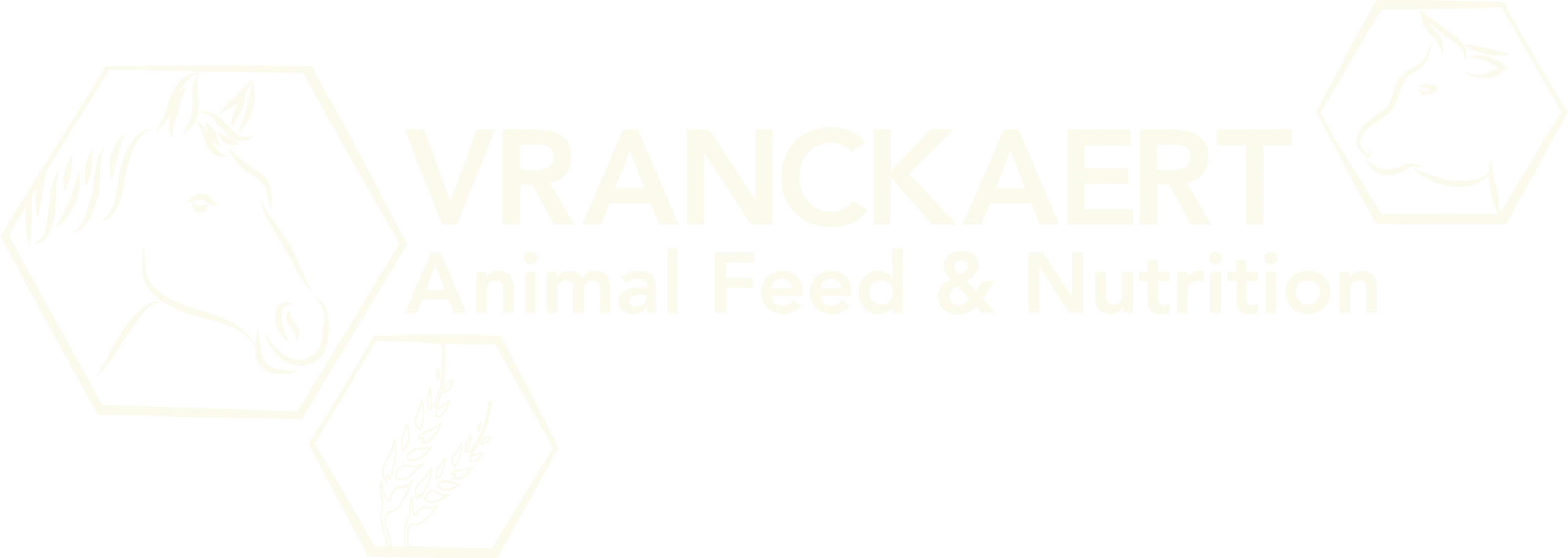 VN_Logo_WarmWit_NoNumber